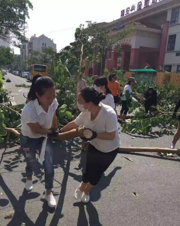 惨遭最强台风蹂躏，厦门人居然还笑得出来