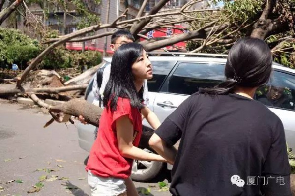 暖心暖城！现在才是厦门最美的样子～你瞧，台风过后“凤凰花”都开了...