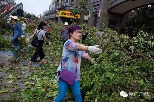 暖心暖城！现在才是厦门最美的样子～你瞧，台风过后“凤凰花”都开了...