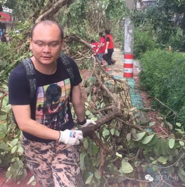 暖心暖城！现在才是厦门最美的样子～你瞧，台风过后“凤凰花”都开了...