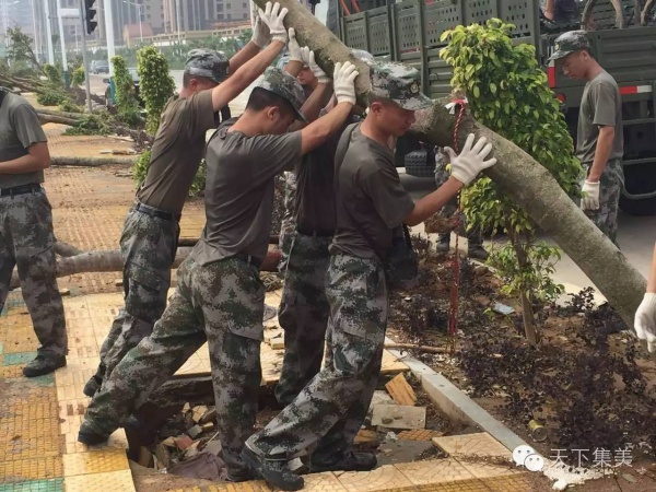 你听说过“集美速度”吗？看完台风后的集美交通你就明白……