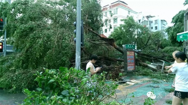 大量独家航拍：超强台风“莫兰蒂”过境后，集美12小时震撼实景……
