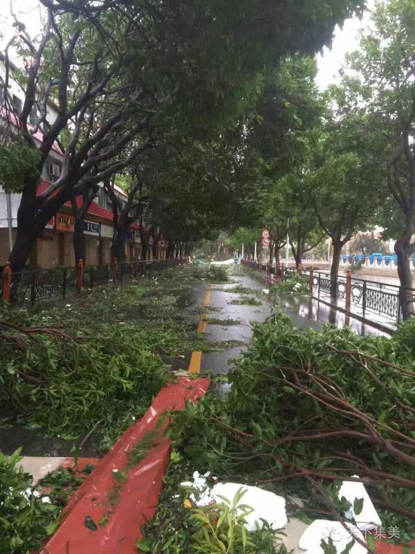大量独家航拍：超强台风“莫兰蒂”过境后，集美12小时震撼实景……