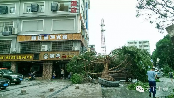 大量独家航拍：超强台风“莫兰蒂”过境后，集美12小时震撼实景……
