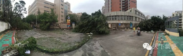 大量独家航拍：超强台风“莫兰蒂”过境后，集美12小时震撼实景……