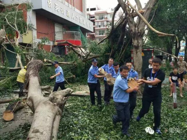 大量独家航拍：超强台风“莫兰蒂”过境后，集美12小时震撼实景……