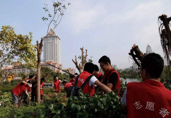 极美！台风后集美大学惊现“彩虹”，引网友围观点赞！