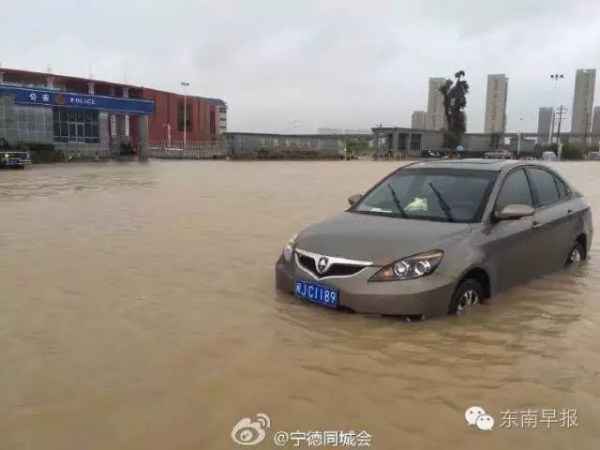 一条鲇鱼淹几座城，新台风紧随其后！厦门从不缺段子手...