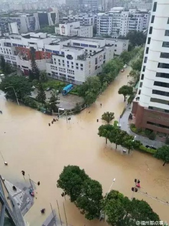 一条鲇鱼淹几座城，新台风紧随其后！厦门从不缺段子手...