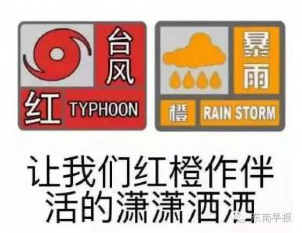 一条鲇鱼淹几座城，新台风紧随其后！厦门从不缺段子手...