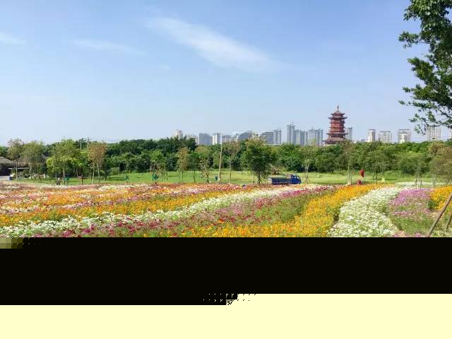 2017园博苑大改变，网友直呼太惊艳！