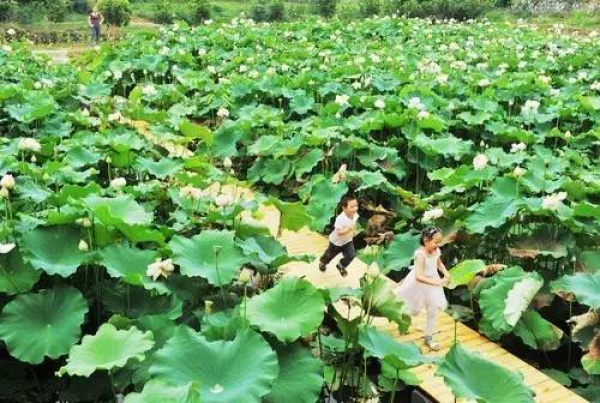 厉害了！同安新增6个省级旅游特色村，快来看看你都去过了吗？
