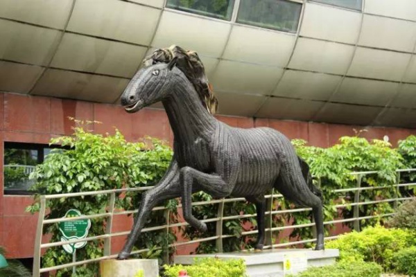 【哗！】元旦节假期好去处：厦门风车游乐园开园了，无限量门票免费送！