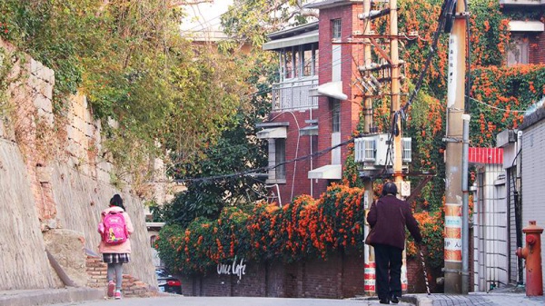 重回厦门10年前的文艺圣地，在记忆中的咖啡馆虚度时光…