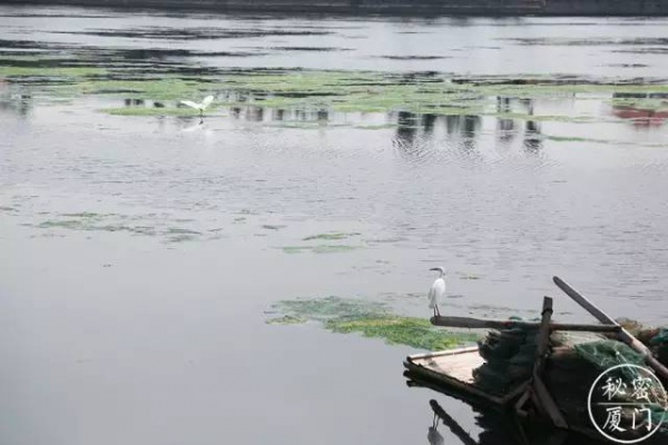 美食地图丨今天天气真正好，跟吃货团暴走集美学村~