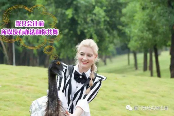 探索新奇的动物知识和传统的古龙酱文化，来场一日游吧！