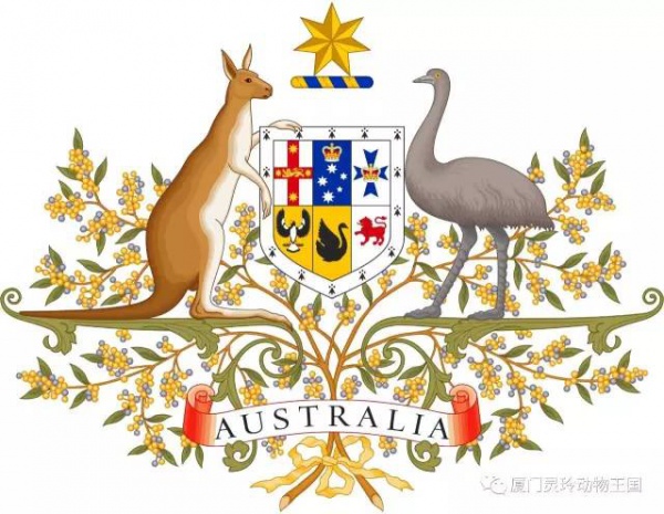 探索新奇的动物知识和传统的古龙酱文化，来场一日游吧！