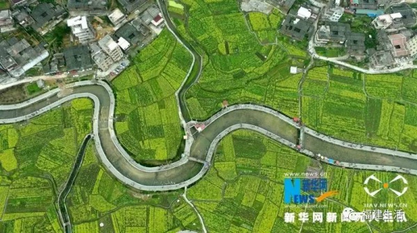 收藏！最新最全的福建油菜花地图就在这儿啦