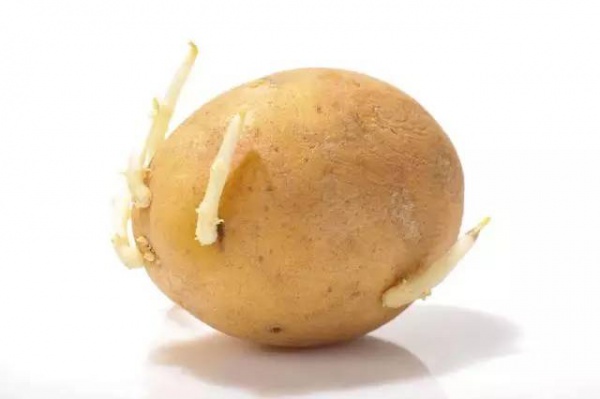这8种常吃的食品不注意会中毒！不只四季豆和黄花菜，竟然还有…
