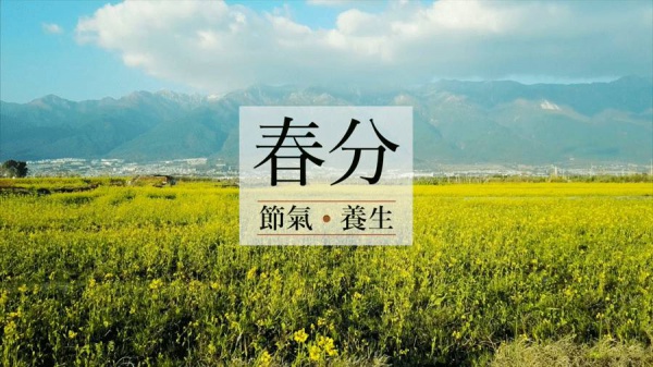 春分丨厦门要正式进入雨季了！想要春游有哪些地方可以选择呢？