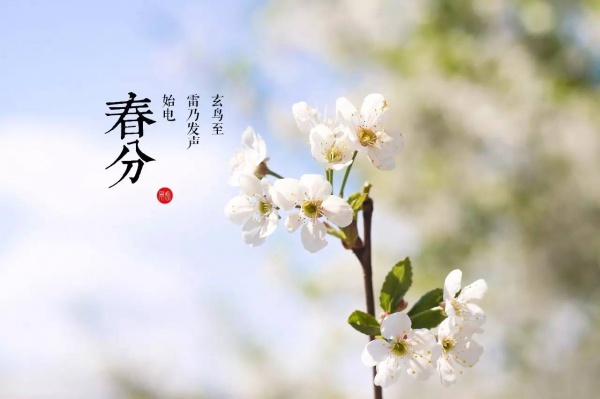 春分丨厦门要正式进入雨季了！想要春游有哪些地方可以选择呢？