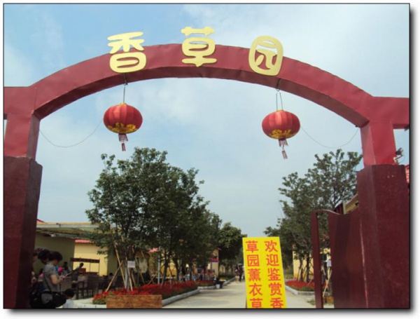 香草园_思明香草园_香草园