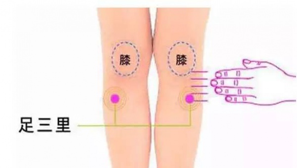 清明前后，这种叶子神通广大！三招用好了，胜过长跑三十年