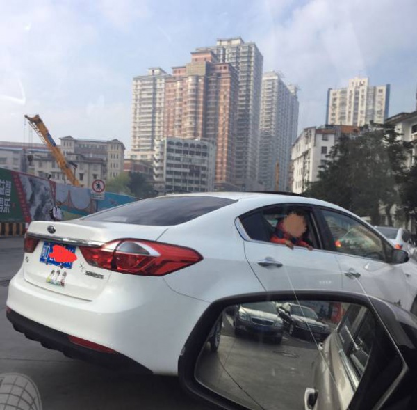 厦门一家长让孩子做了这件事，引来网友一片骂声……