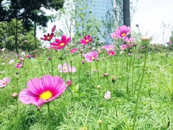 5月的厦门及周边，错过这些美景又要等一年！