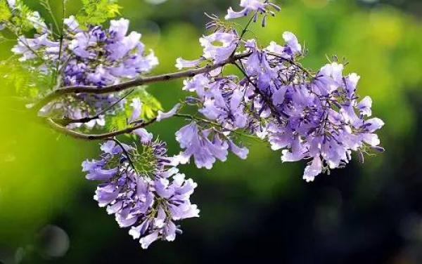 5月的厦门及周边，错过这些美景又要等一年！