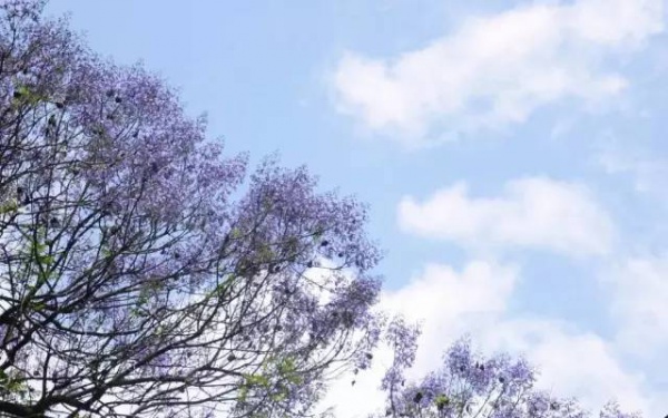 5月的厦门及周边，错过这些美景又要等一年！