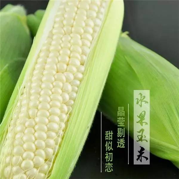 煮就好吃的不得了的玉米？仅限一天