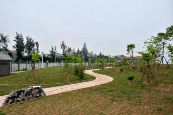 完美天际丨集美学村，美丽天际线将完美呈现