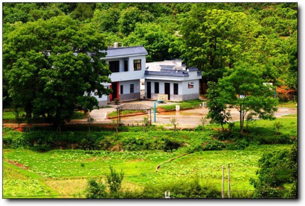 龙岩杨梅山庄_<a style=