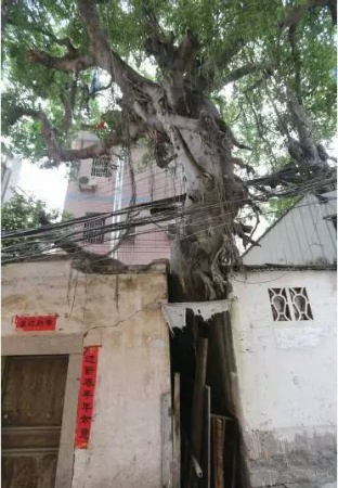 “龙聚地真”，曾被朱熹盛赞的