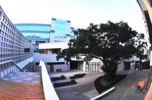 面向海内外，打造一流文创街区，集美大社未来超乎你想象