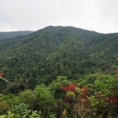 宁化牙梳山