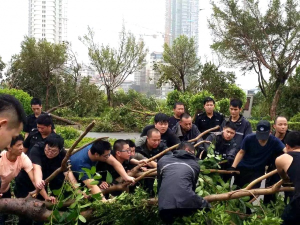 凤凰涅槃！回首莫兰蒂，那些感动集美的画面，最难忘！