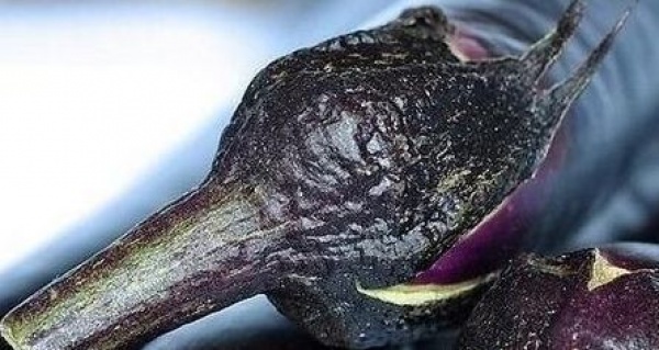 茄子这样吃，胜过10副药，可你还老把这些好东西扔掉！