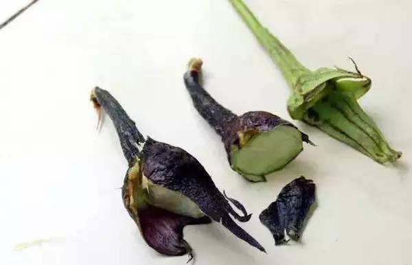 茄子这样吃，胜过10副药，可你还老把这些好东西扔掉！