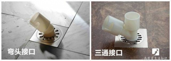 这个细节不注意，家里的洗衣机就成蟑螂的运动场
