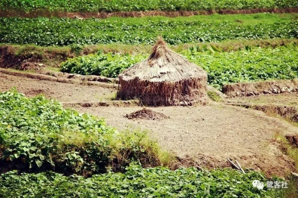 南安官桥曙光村（一）：向北，向北，直到那飘荡着地瓜香的土地